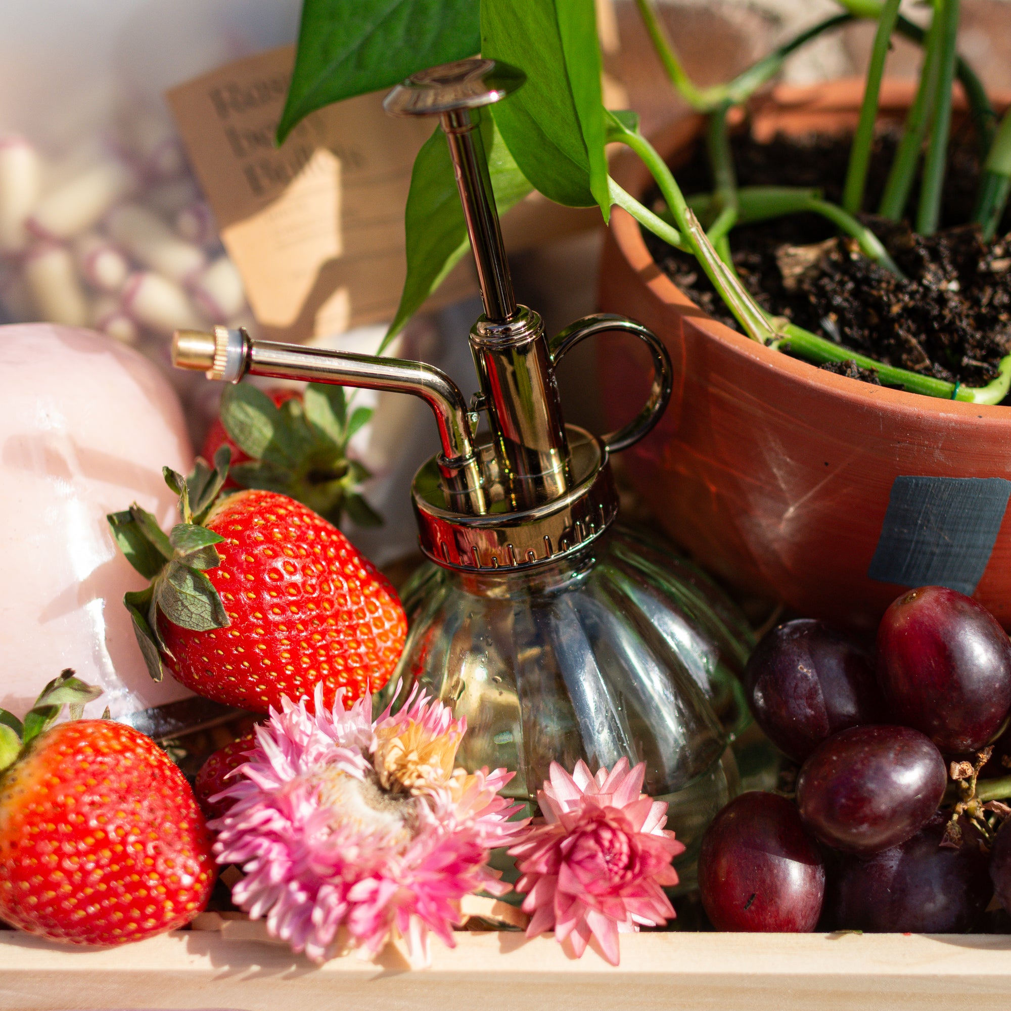 Botanical Bliss Hamper