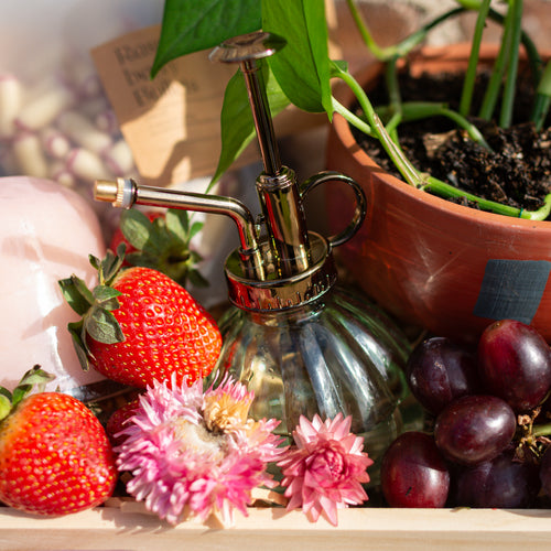 Botanical Bliss Hamper