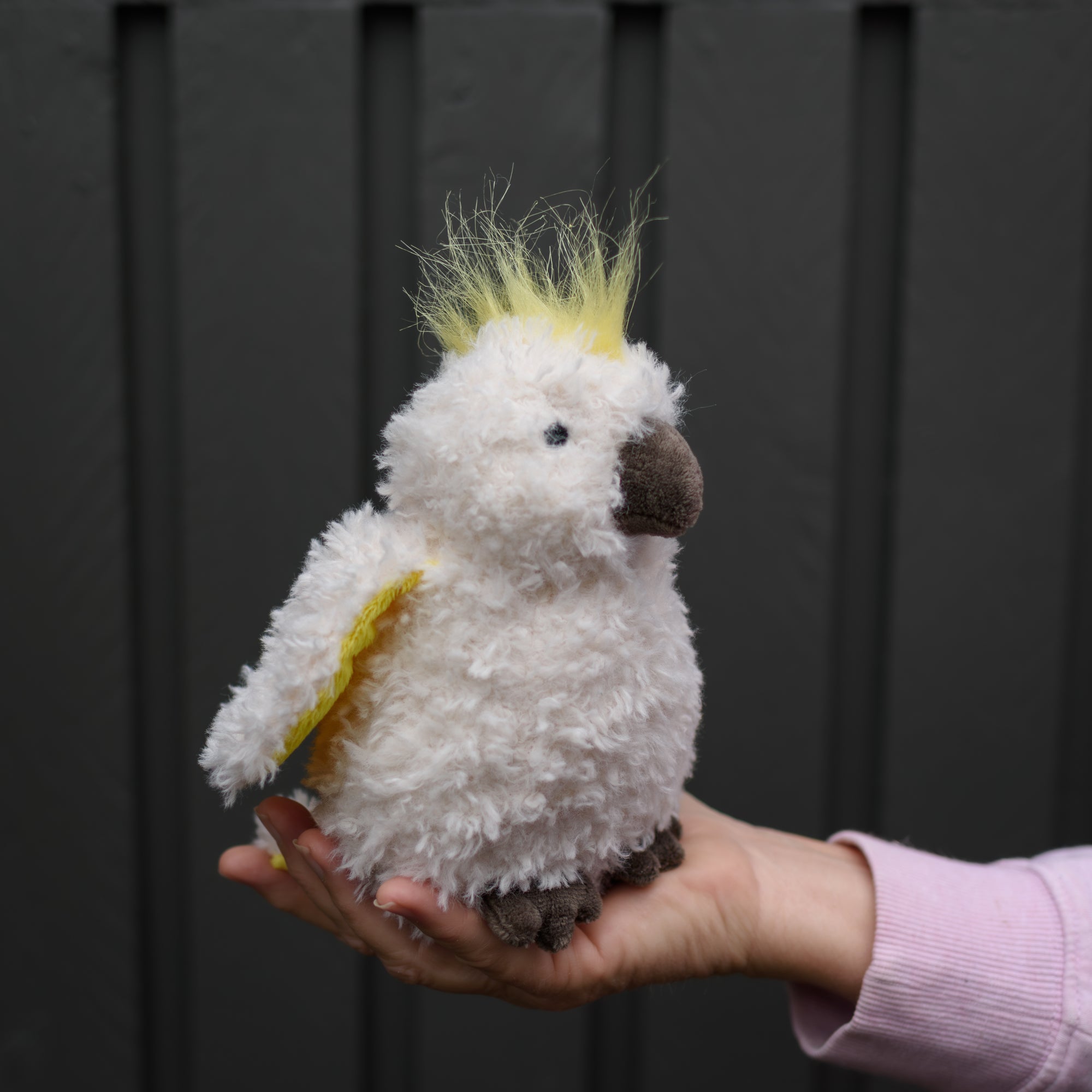 Cockatoo Push Toy