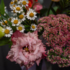 Wednesday's Florist Choice Posy