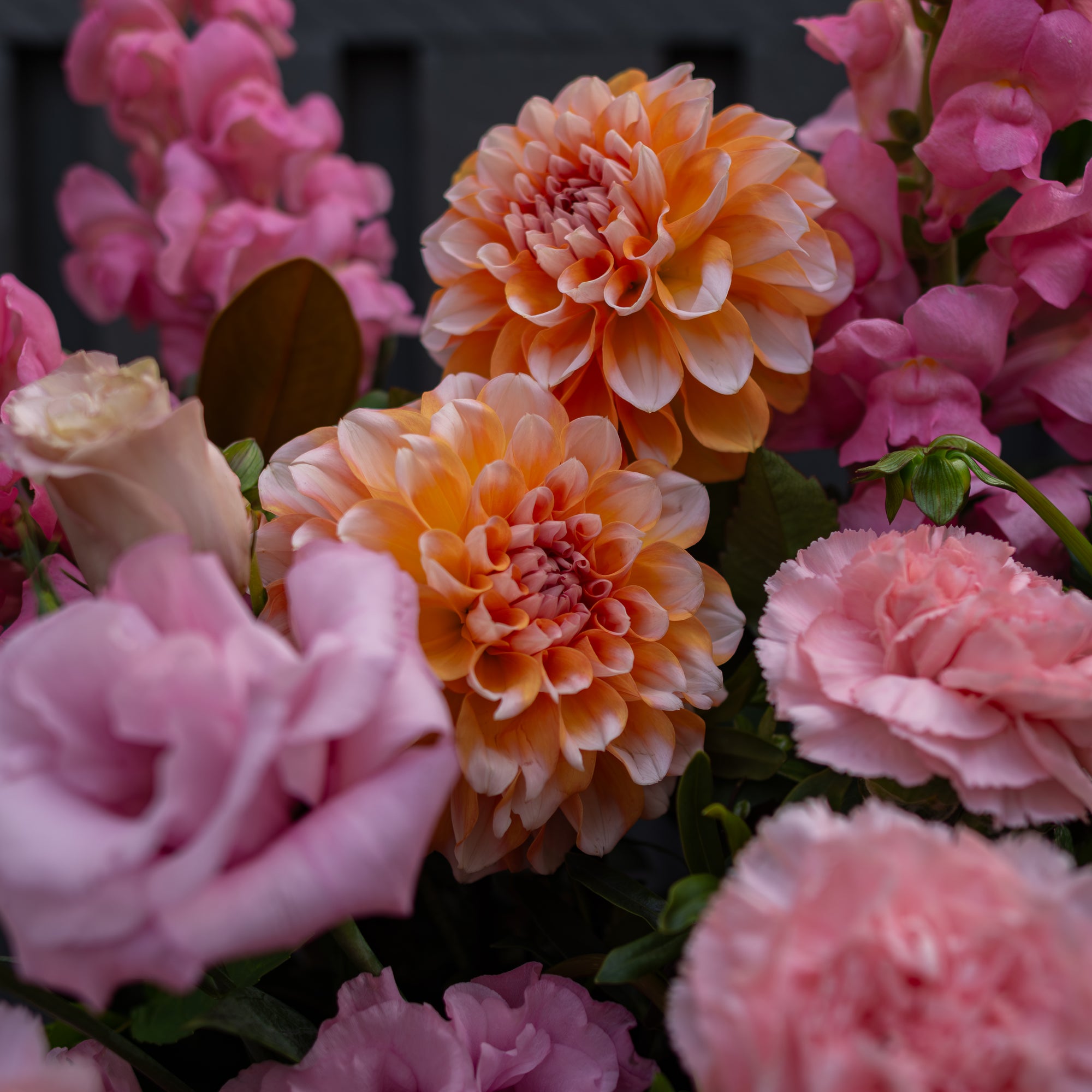 Posy Floral Subscription