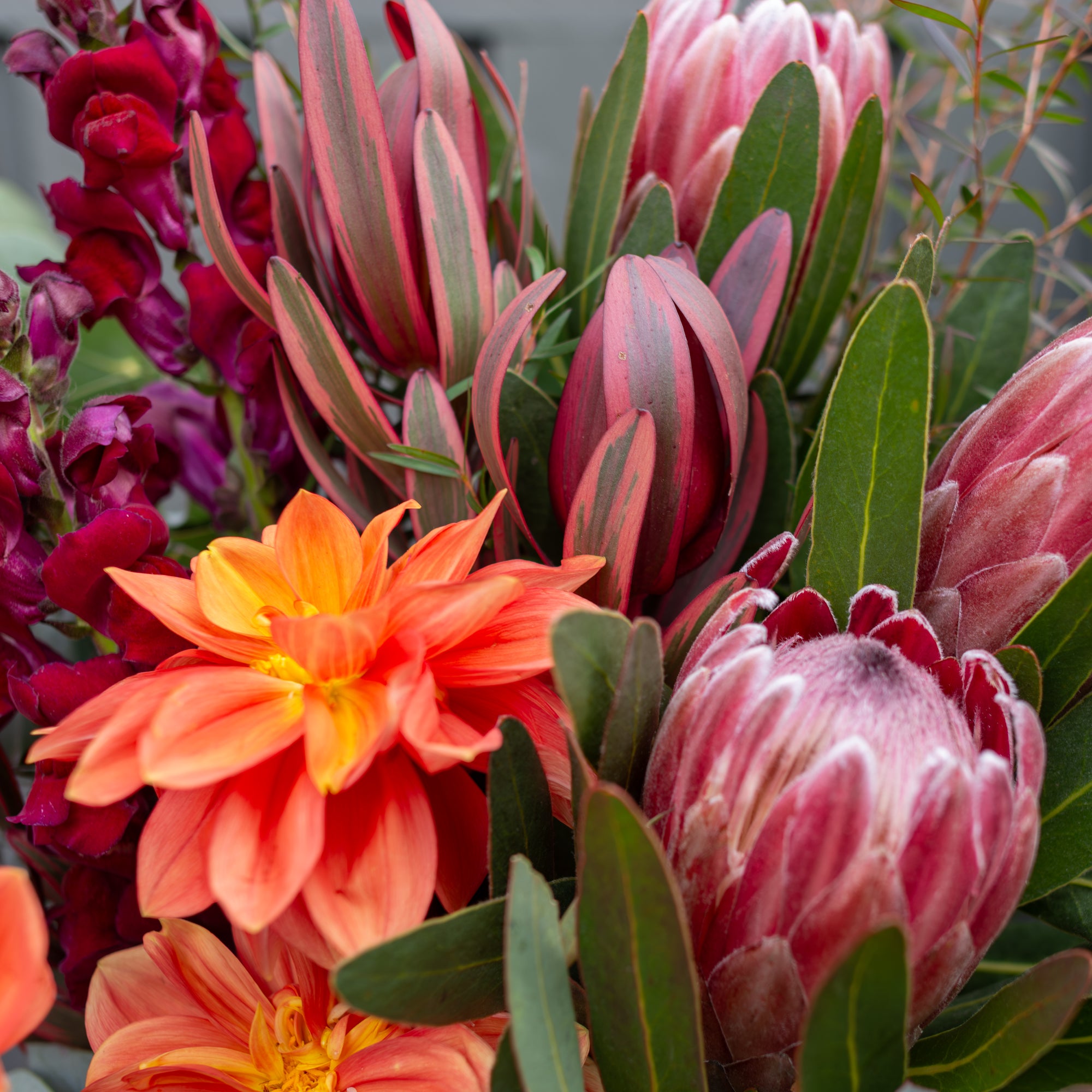 Posy Floral Subscription