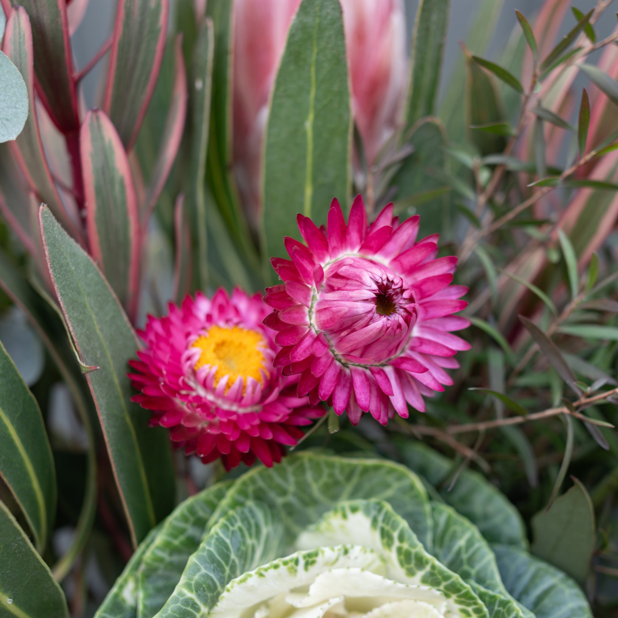 Native(ish) Posy