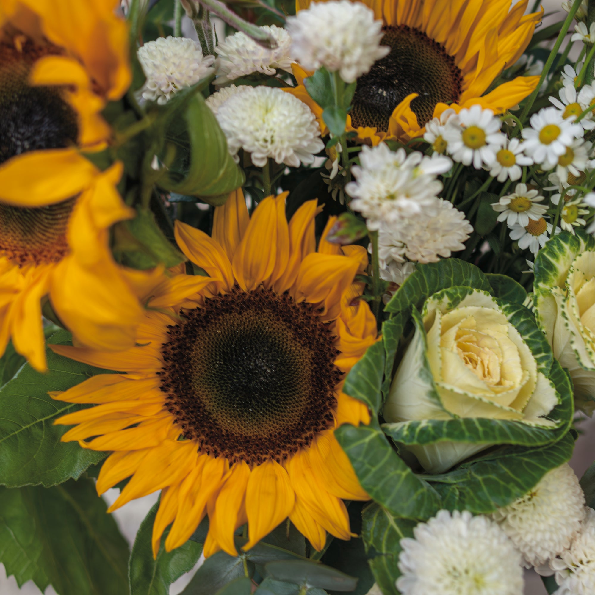 Wednesday's Pre-Order Posy