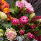 Wednesday's Florist Choice Posy