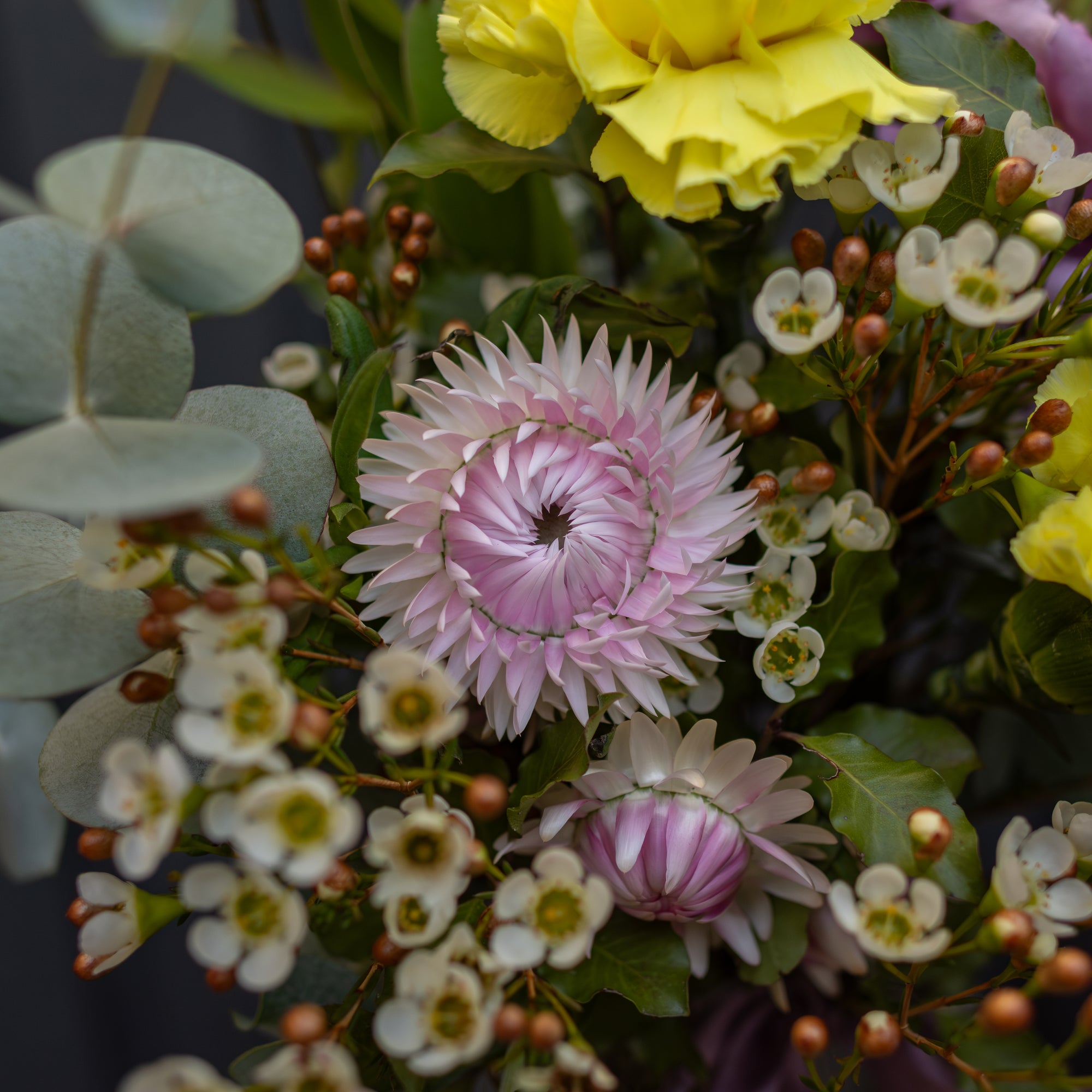 Wednesday's Florist Choice Posy