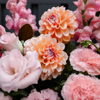 Wednesday's Posy