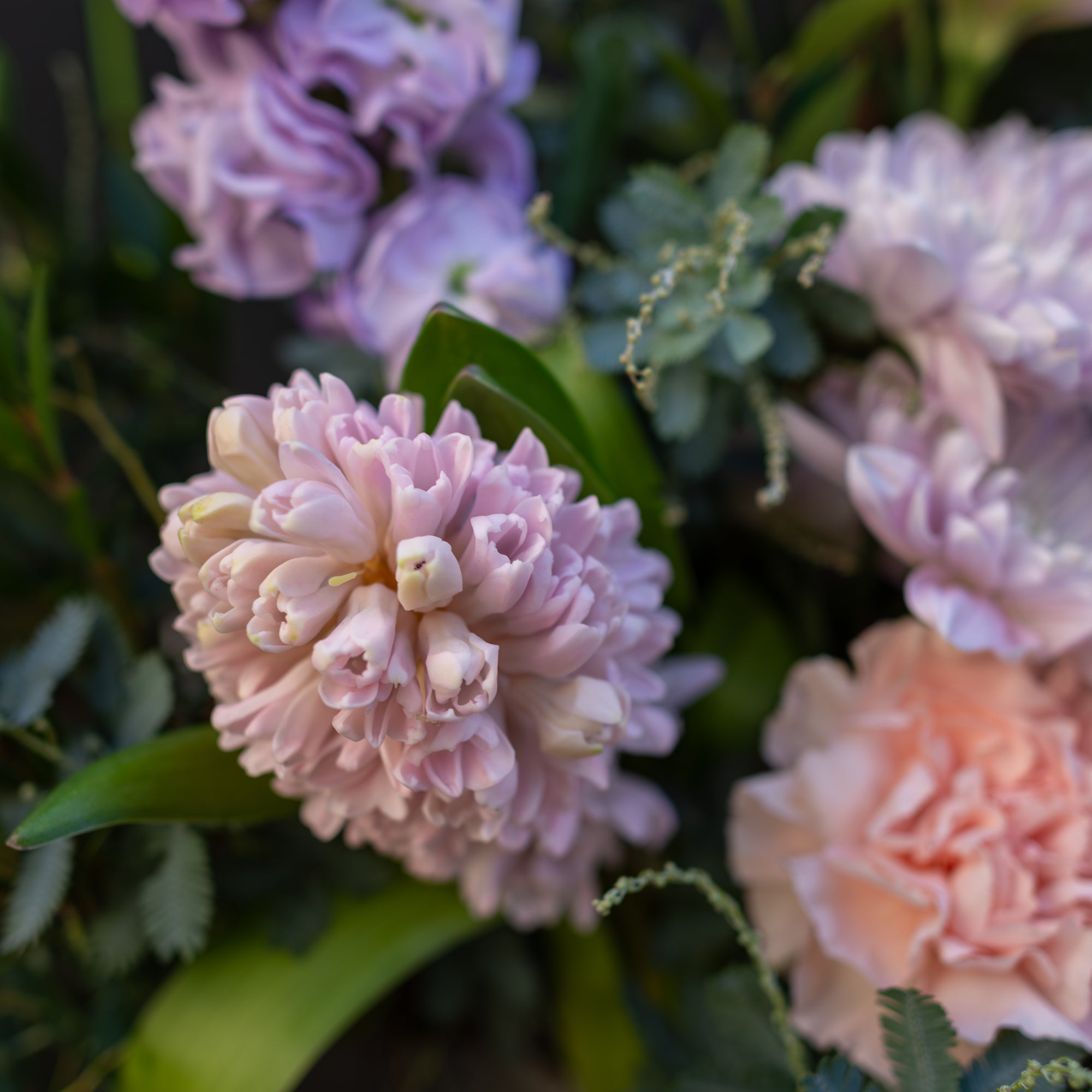 Posy Floral Subscription