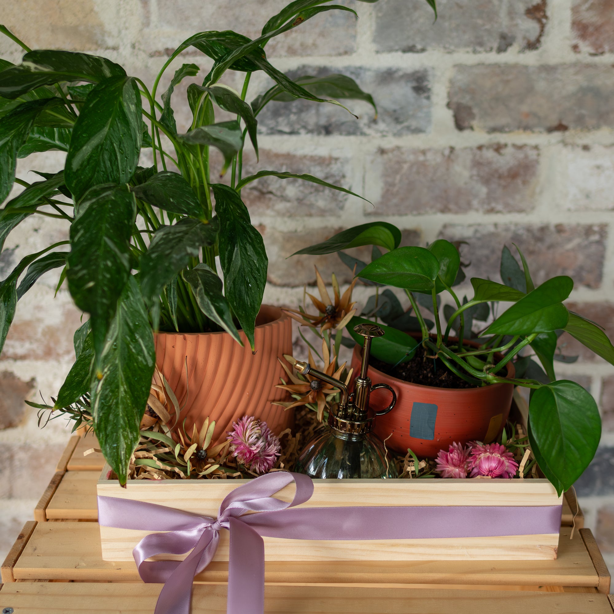 The Indoor Garden Hamper